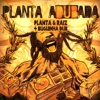 Planta Adubada