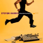 Stefon Harris - Feline Blues