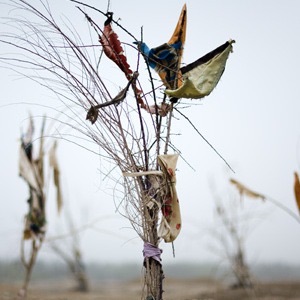 Living Shrines of Uyghur China: Photographs by Lisa Ross