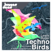 Techno Birds (Anil Chawla Remix) artwork