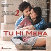 Tu Hi Mera - Single