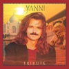 Yanni - Dance With a Stranger