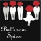 Illinois - Ballroom Spies lyrics