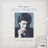 Then Again - The David Sanborn Anthology
