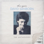 David Sanborn - Hideaway (Live)