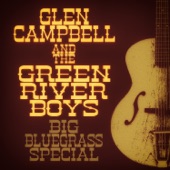 Big Bluegrass Special (Remastered) artwork