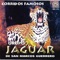 Cheo Pisa - Jaguar De San Marcos Guerrero lyrics