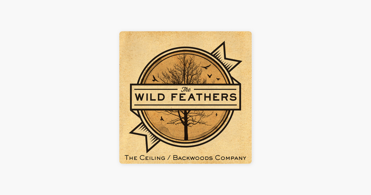 The Ceiling Backwoods Company Single By The Wild Feathers On Itunes