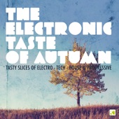 The Electronic Taste of Autumn - Tasty Slices of Electro-Tech-House & Progressive artwork