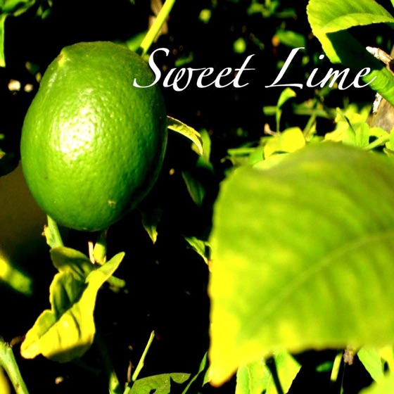 Cover artwork for Sweet Lime (feat. Rob Mastrianni)