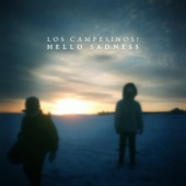 Los Campesinos! - Life Is a Long Time