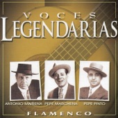Voces Legendarias (Flamenco) artwork