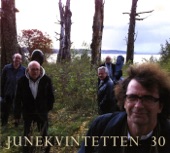 Junekvintetten 30 artwork