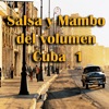 Salsa y Mambo de Cuba, Vol. 1, 2010