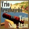 Sufre - Trio Vegabajeño lyrics