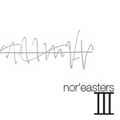 The Nor'easters - Woods