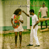 Caraïbes zouk folies : An nou dansé - Vários intérpretes