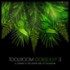 Toolroom Goes Deep 3