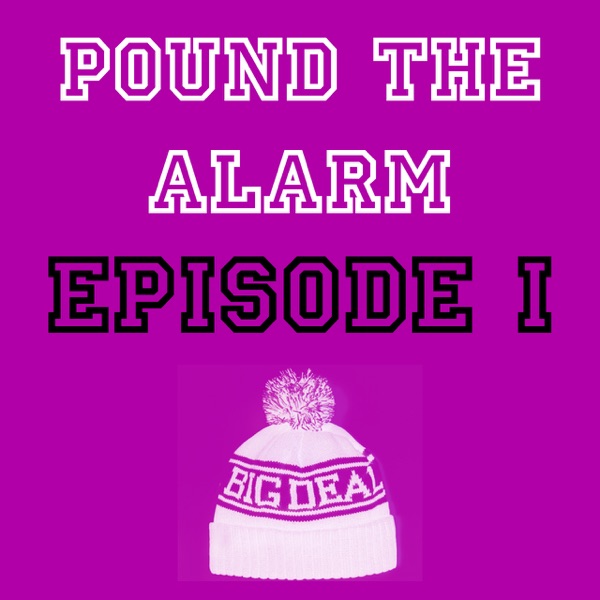 Pound The Alarm cover