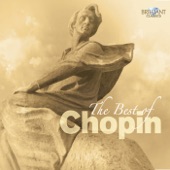 The Best of Chopin artwork