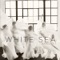 Mountaineer (Lord Huron Remix) - White Sea lyrics