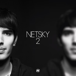 Netsky - Love Has Gone