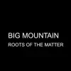 Roots of the Matter - Single album lyrics, reviews, download