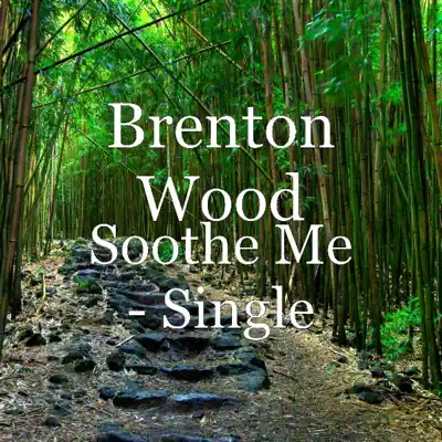 Soothe Me - Single - Brenton Wood