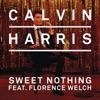 Sweet Nothing (feat. Florence Welch) - Single