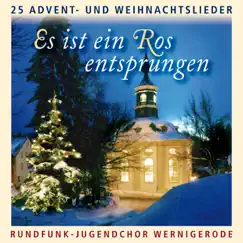 Es ist ein Ros entsprungen: 25 Advent- und Weihnachtslieder by Rundfunk-Jugendchor Wernigerode & Mädchenchor Wernigerode album reviews, ratings, credits