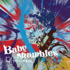 Fall From Grace - Single - Babyshambles