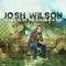 Savior, Please - Josh Wilson lyrics