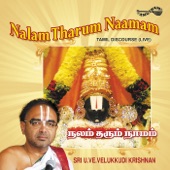 Nalam Tharum Naamam (Live) artwork