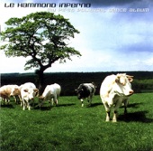 Herbert - Le Hammond Inferno