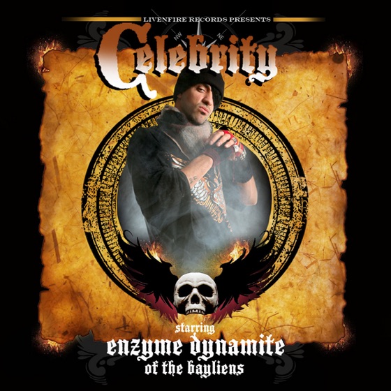 Cover artwork for Celebrity
