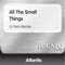 All the Small Things - Atlantis lyrics