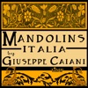 Mandolins Italia artwork