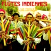 Flutes Indiennes