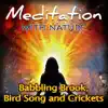 Babbling Brook, Bird Song and Crickets album lyrics, reviews, download