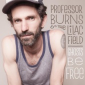 Professor Burns & the Lilac Field - Birds