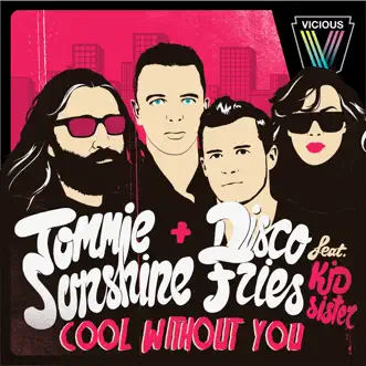 Cool Without You (Radio Edit) by Tommie Sunshine & Disco Fries song reviws