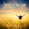 Best of Christian Radio: Feeling of Your Love, Vol. 8