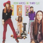 Redd Kross - Bubblegum Factory