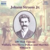 Strauss II: 100 Most Famous Works, Vol. 6 artwork