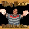 King David - Preach the Gospel
