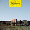 Delfinarium (Deluxe Edition)