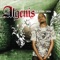 Cashin Cecks - Algenis lyrics