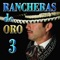 Ebrio de Amor - Mariachi Mexico Jalisco lyrics