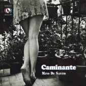 Caminante - Mino De Santis