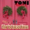 Christmas I'm Coming Home (feat. John Davis) - Toni Hertz lyrics